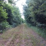 Recreational property for sale in Madison Parish