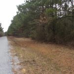 Covington County Investment property for sale