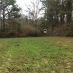 Timberland property for sale in Covington County