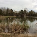 Recreational land for sale in Avoyelles Parish