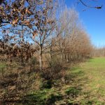 Recreational land for sale in Tensas Parish