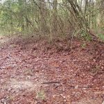 Timberland for sale in DeSoto Parish