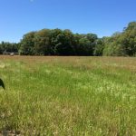 Richland Parish Recreational land for sale