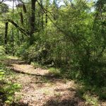 Residential property for sale in Grant Parish