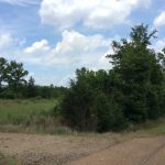 Red River Parish Ranchland property for sale