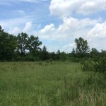 Red River Parish Agricultural property for sale