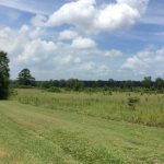 Red River Parish Ranchland for sale