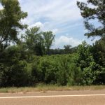 Red River Parish Recreational property for sale