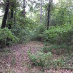 Recreational land for sale in Catahoula Parish