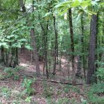 Recreational property for sale in Catahoula Parish