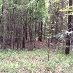 Franklin County Investment land for sale