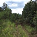 Franklin County Recreational land for sale
