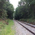 Franklin County Timberland property for sale