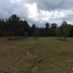 Timberland for sale in Franklin County