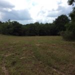 Timberland for sale in Franklin County