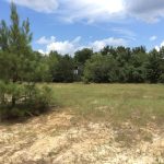 Franklin County Timberland property for sale