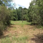 Franklin County Timberland for sale