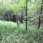 Recreational land for sale in Franklin County