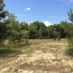 Investment land for sale in Franklin County