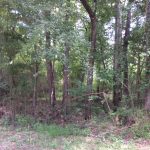 Recreational land for sale in Franklin County