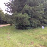 Caldwell Parish Residential land for sale
