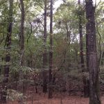 Hinds County Commercial land for sale