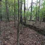 Hinds County Investment land for sale