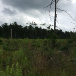 Natchitoches Parish Recreational land for sale