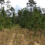 Recreational property for sale in Natchitoches Parish
