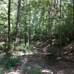 Hinds County Investment property for sale