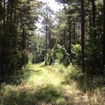 Hinds County Recreational property for sale