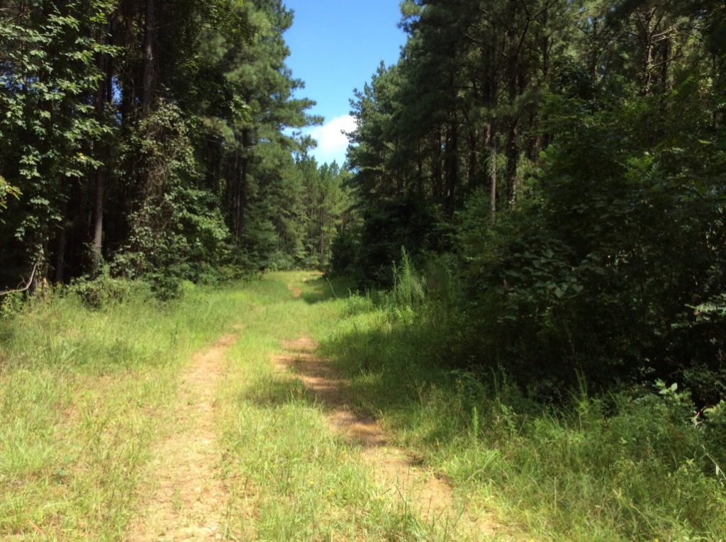 Timberland property for sale in Hinds County