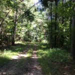 Investment land for sale in Hinds County