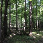 Hinds County Recreational land for sale