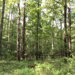 Recreational property for sale in Hinds County