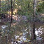 Investment land for sale in Caldwell Parish