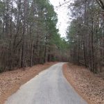 Caldwell Parish Hunting property for sale