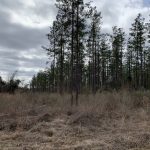 Residential land for sale in Caldwell Parish
