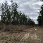 Development land for sale in Caldwell Parish