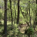 Hunting property for sale in Caldwell Parish