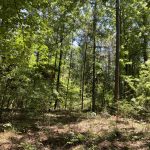 Grant Parish Hunting land for sale