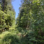 Grant Parish Hunting property for sale