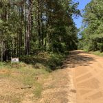 Hunting land for sale in Grant Parish