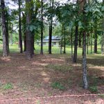 Investment land for sale in Winn Parish