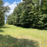 Timberland property for sale in La Salle Parish