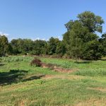Investment land for sale in Catahoula Parish