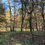 Avoyelles Parish Hunting land for sale