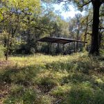 Hunting land for sale in Avoyelles Parish
