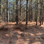 Recreational land for sale in Caldwell Parish