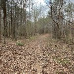Recreational property for sale in Adams County